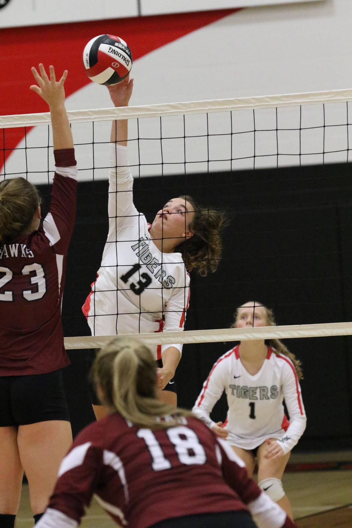 SP_Brinkmeyer_SHHawks_7319.JPG